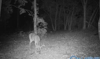 225 Stone Rd, Albertville, AL 35951