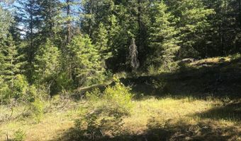 41 Quiet Hts, Athol, ID 83801