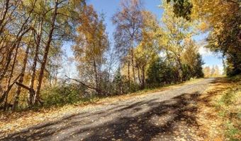 L9 & L10 Feodosia Drive, Anchorage, AK 99516