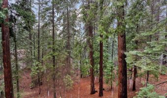 1996 Seminole Way, Arnold, CA 95223