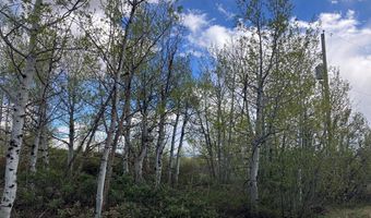 Tbd Aspen Heights Drive, Ashton, ID 83420