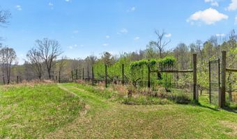 7087 DICK WOODS Rd, Afton, VA 22920