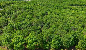 County Road 101, Alton, MO 65606