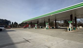 44 Auburn Gate Ln, Auburn, GA 30011