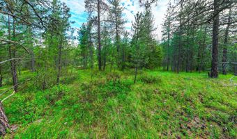 Nna Smoke Tree Ave, Athol, ID 83801