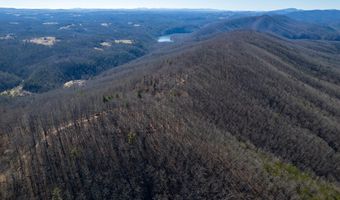 Stoots Mountain Rd. lot 31-A-109, Austinville, VA 24312