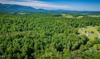 1285 Frank Roberts Rd, Afton, TN 37616