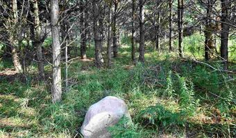 9537 LAKEVIEW, Alanson, MI 49706