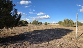 293 294 Arizona Rd, Ash Fork, AZ 86320