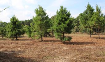 TBD CR 314, Henderson, TX 75652