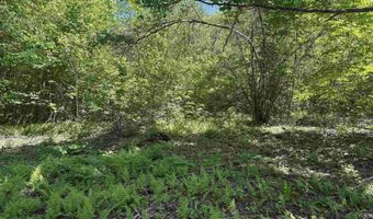 Map 5 Lot 14-3 Stockbridge Corner Road, Alton, NH 03809