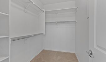 3664 S Jasmine Dr, Chandler, AZ 85286
