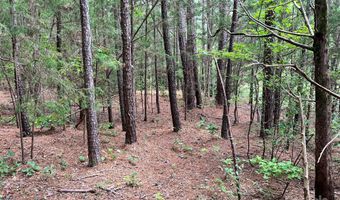 8 SC-215 S, Blair, SC 29015