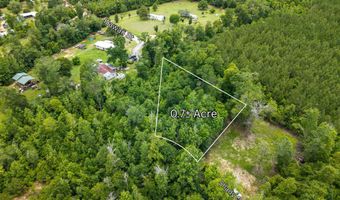 Shady Oak Ln lot 8, Alford, FL 32420