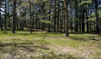 S Badger Lane lot 38, Arkdale, WI 54613