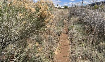 45 Las Animas Rd, Arroyo Seco, NM 87514