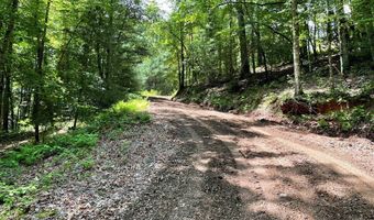 21 Collett Woods Trl Lot #21, Andrews, NC 28901