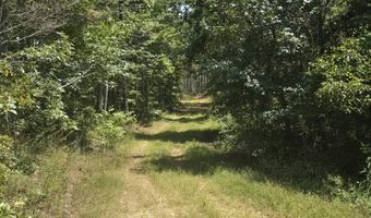 Adams Road, Bankston, AL 35542