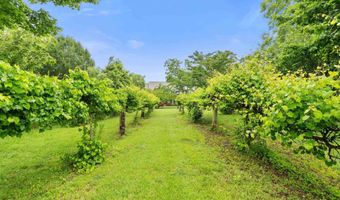 205 Oak Hill Ln, Arab, AL 35016