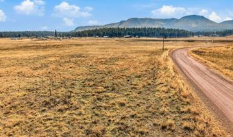 The Ranch at Alpine lot 35, Alpine, AZ 85920