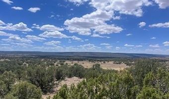 41 Indian Drive CR 8062, Concho, AZ 85924