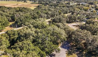 14233 TASSLEFLOWER Ct, Astatula, FL 34705