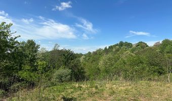 12 Acs Gidsville Rd, Amherst, VA 24521
