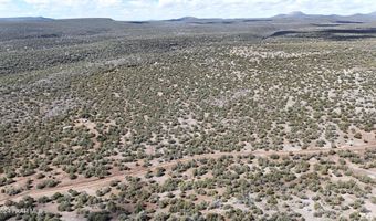 5079 N Pineveta Rd, Ash Fork, AZ 86320