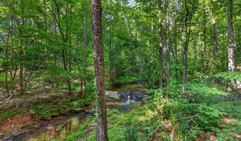 2025 Soap Creek Rd, Ball Ground, GA 30107