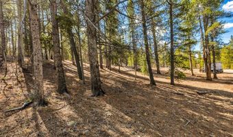 265 Placer Dr Lot 10, Alma, CO 80420