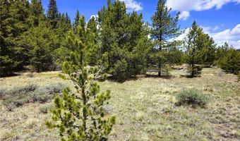 PCS # 10594 Looney Lane lot 0, Alma, CO 80420