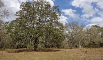 3670 NW 20TH Ave, Bell, FL 32619