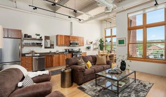 231 Robinson St 320, Basalt, CO 81621