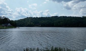 0 GIBSON COVE Dr 3 Acres, Ashville, AL 35953