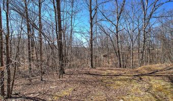 497 Cherokee Trl, Ball Ground, GA 30107