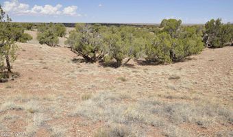 138 Jeff Lake Rd (CR N9230), Concho, AZ 85924