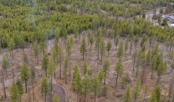 L5 B1 Wallace Lane, Blanchard, ID 83804