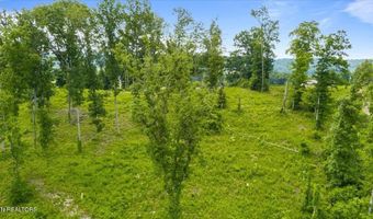 Tract 2 Mill Creek Rd, Andersonville, TN 37705