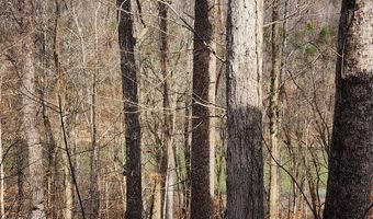 5615 Eastport Rd, Alpine, TN 38543