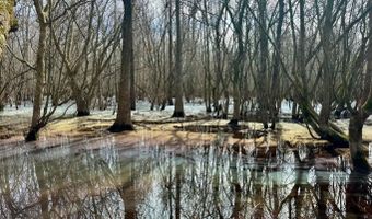 Putnam Road, Belzoni, MS 39038