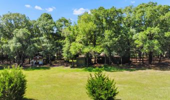 1184 Blackberry Cir, Baker, FL 32531