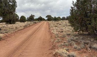 Tbd N5505, Concho, AZ 85924