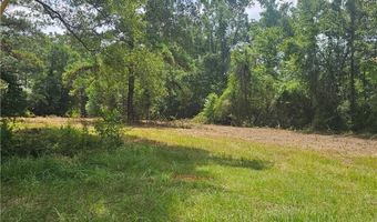 Lot A- Vining Road, Amite, LA 70422
