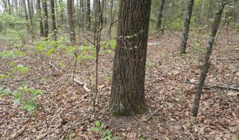 Long Branch Lane, Bee Branch, AR 72013
