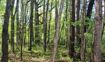 104 Th Ave, Allegan, MI 49010