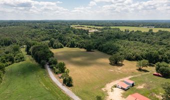 0 County Road 800, Flat Rock, AL 35966