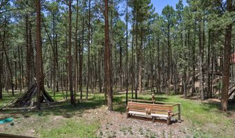 53 Pine Valley Rd, Angel Fire, NM 87710