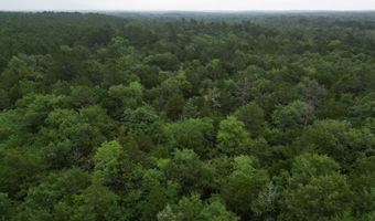 428665 E 1920 Rd, Antlers, OK 74523