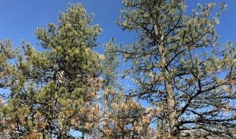 Hummingbird Drive, Bonanza, OR 97623