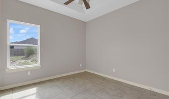 824 Lark St, Alamo, TX 78516